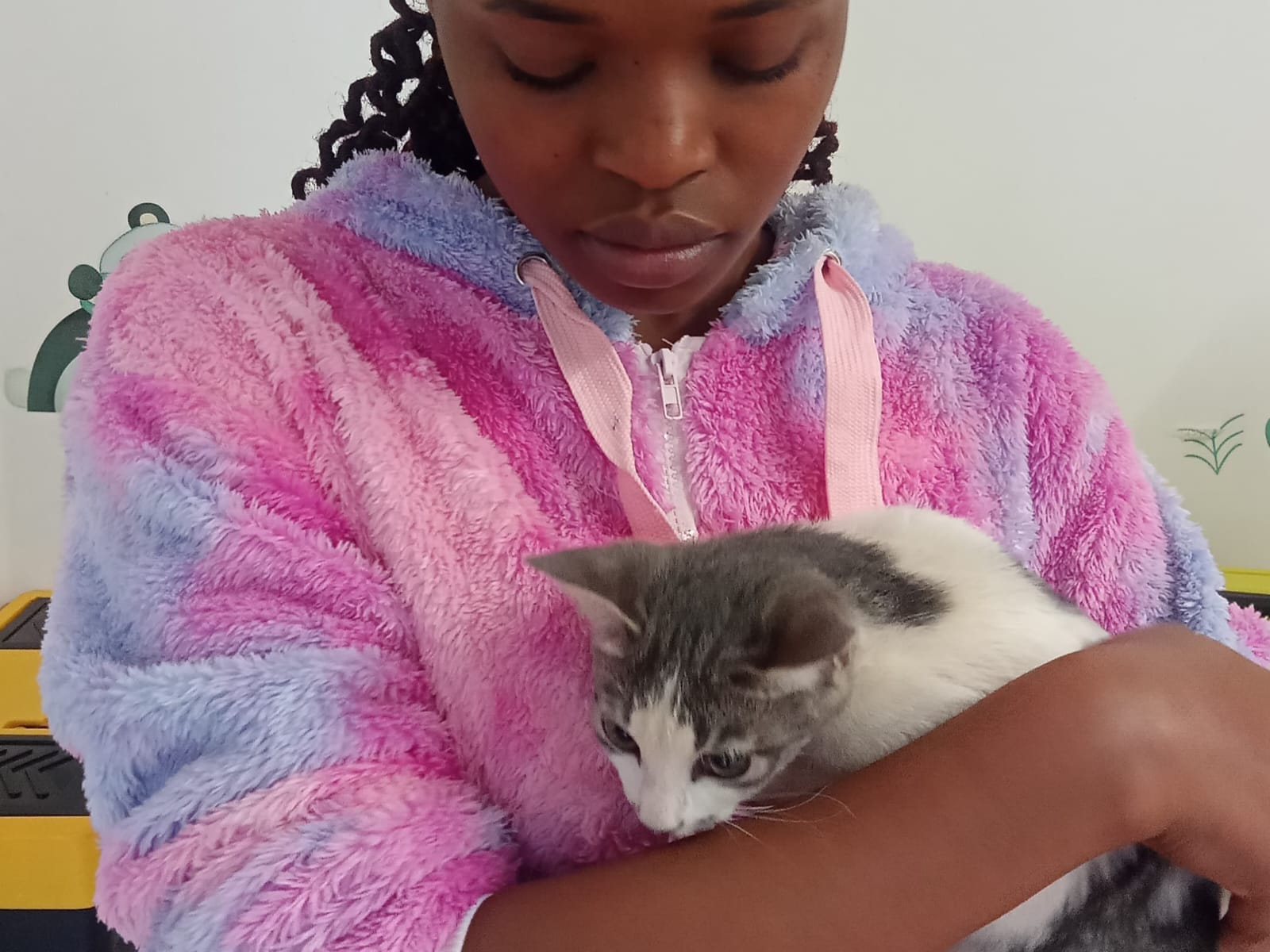 PrimeHearts Mobile Veterinary Clinic at Home