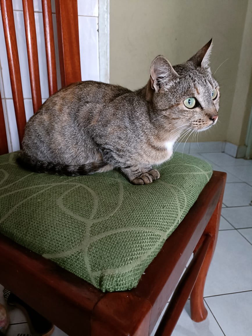 Parasite prevention and control