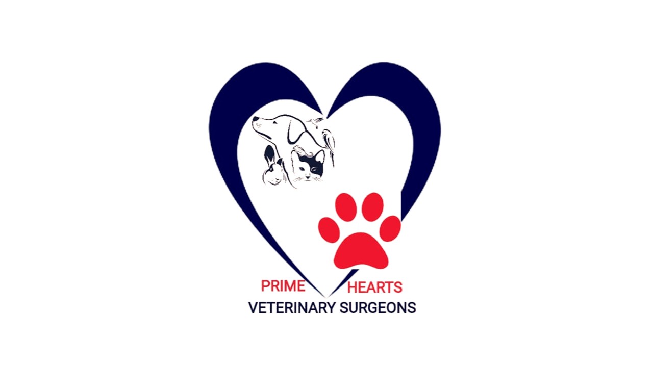 PrimeHearts Logo